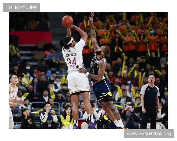 关于ng28圈的全面解析与最新动态，帮助玩家深入了解游戏圈内幕