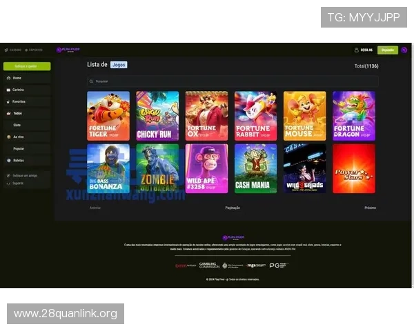 南宫国际pg娱乐电子游戏网站安全可靠保障玩家资金与个人信息安全实现无忧游戏环境