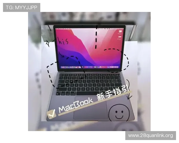 南宫电脑版官网用户指南，详细操作教程与常见问题解答帮助您轻松上手游戏