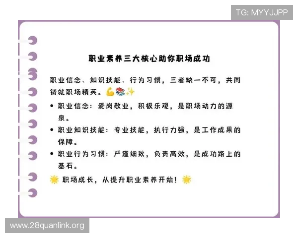 三公规矩的重要性及其在提升玩家职业素养中的实际作用与应用建议